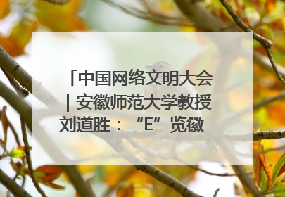 中国网络文明大会｜安徽师范大学教授刘道胜：“E”览徽风，构筑中华民族共有精神家园