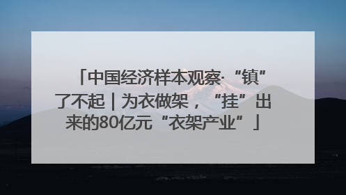 中国经济样本观察·“镇”了不起｜为衣做架，“挂”出来的80亿元“衣架产业”