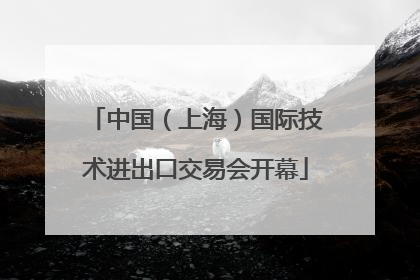 中国（上海）国际技术进出口交易会开幕