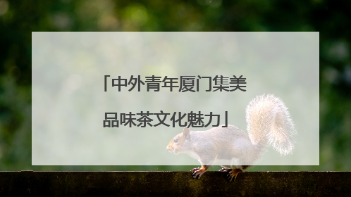 中外青年厦门集美品味茶文化魅力