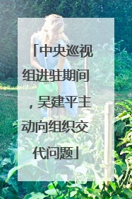 中央巡视组进驻期间，吴建平主动向组织交代问题