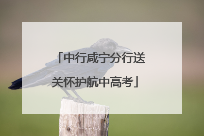 中行咸宁分行送关怀护航中高考
