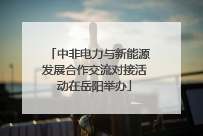 中非电力与新能源发展合作交流对接活动在岳阳举办