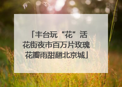 丰台玩“花”活 花街夜市百万片玫瑰花瓣雨甜翻北京城