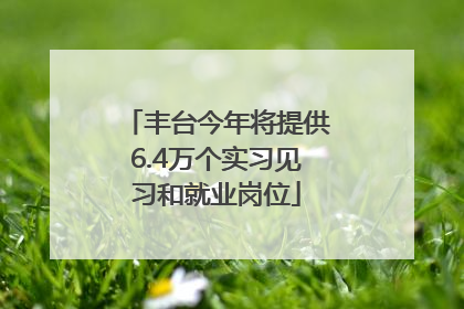 丰台今年将提供6.4万个实习见习和就业岗位