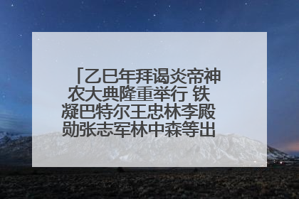 乙巳年拜谒炎帝神农大典隆重举行 铁凝巴特尔王忠林李殿勋张志军林中森等出席 孙伟主持