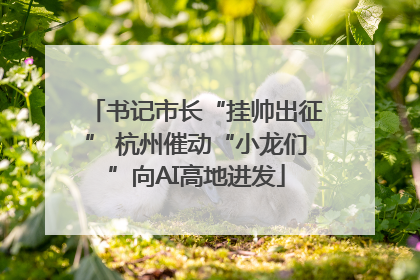 书记市长“挂帅出征” 杭州催动“小龙们”向AI高地进发