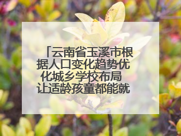 云南省玉溪市根据人口变化趋势优化城乡学校布局 让适龄孩童都能就近就便上好学