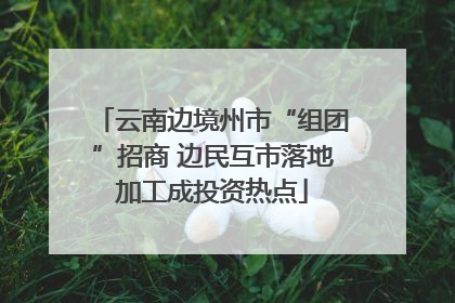 云南边境州市“组团”招商 边民互市落地加工成投资热点
