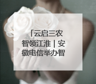 云启三农 智领江淮｜安徽电信举办智慧农业主题会议