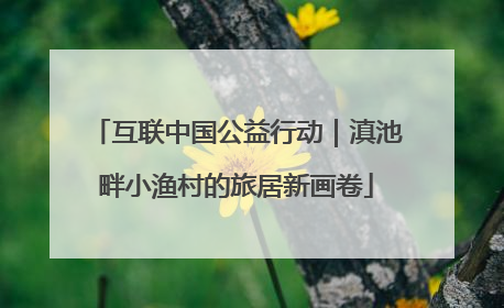 互联中国公益行动｜滇池畔小渔村的旅居新画卷