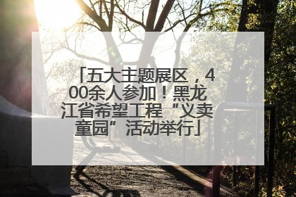 五大主题展区，400余人参加！黑龙江省希望工程“义卖童园”活动举行