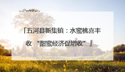 五河县新集镇：水蜜桃喜丰收 “甜蜜经济促增收”