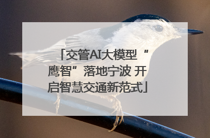 交管AI大模型“鹰智”落地宁波 开启智慧交通新范式