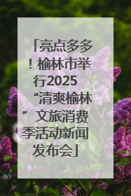 亮点多多！榆林市举行2025“清爽榆林”文旅消费季活动新闻发布会