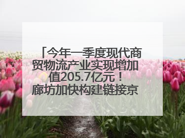 今年一季度现代商贸物流产业实现增加值205.7亿元！廊坊加快构建链接京津冀面向全世界的物流通道