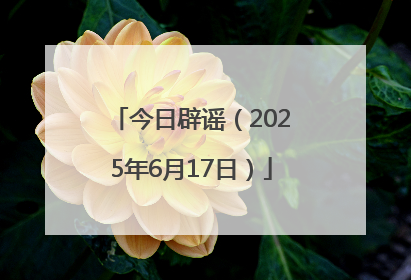 今日辟谣（2025年6月17日）