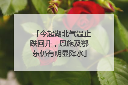 今起湖北气温止跌回升，恩施及鄂东仍有明显降水