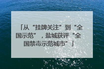 从“挂牌关注”到“全国示范”，盐城获评“全国禁毒示范城市”