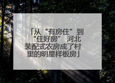 从“有房住”到“住好房” 河北装配式农房成了村里的明星样板房