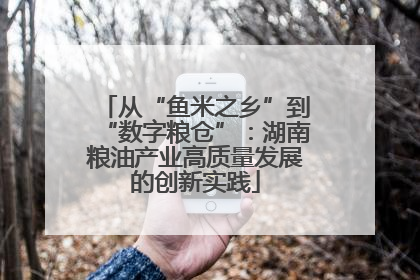 从“鱼米之乡”到“数字粮仓”：湖南粮油产业高质量发展的创新实践