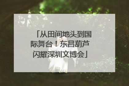 从田间地头到国际舞台！东昌葫芦闪耀深圳文博会