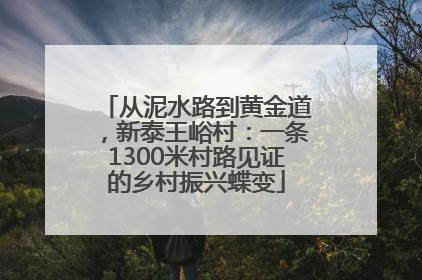 从泥水路到黄金道，新泰王峪村：一条1300米村路见证的乡村振兴蝶变