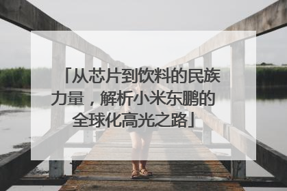 从芯片到饮料的民族力量，解析小米东鹏的全球化高光之路
