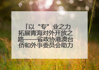 以“专”业之力 拓展青海对外开放之路——省政协港澳台侨和外事委员会助力我省高水平开放和高质量发展
