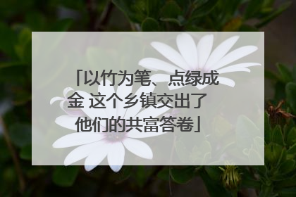 以竹为笔、点绿成金 这个乡镇交出了他们的共富答卷