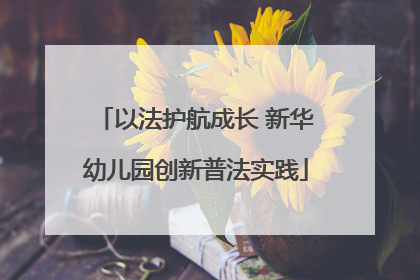 以法护航成长 新华幼儿园创新普法实践
