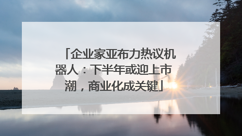 企业家亚布力热议机器人：下半年或迎上市潮，商业化成关键