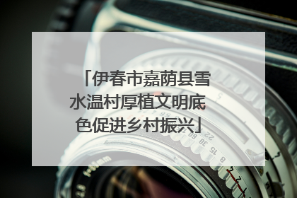 伊春市嘉荫县雪水温村厚植文明底色促进乡村振兴