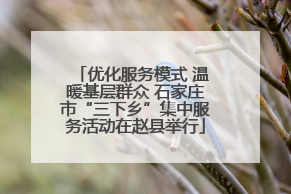 优化服务模式 温暖基层群众 石家庄市“三下乡”集中服务活动在赵县举行