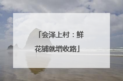 会泽上村：鲜花铺就增收路