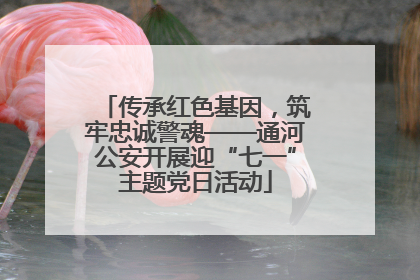 传承红色基因，筑牢忠诚警魂——通河公安开展迎“七一”主题党日活动