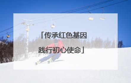 传承红色基因 践行初心使命