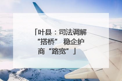 叶县：司法调解“搭桥” 稳企护商“路宽”