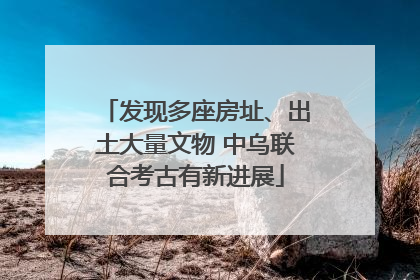 发现多座房址、出土大量文物 中乌联合考古有新进展