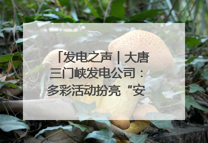 发电之声｜大唐三门峡发电公司：多彩活动扮亮“安全生产月”