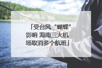 受台风“蝴蝶”影响 海南三大机场取消多个航班