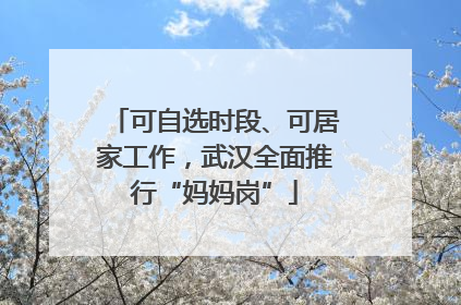 可自选时段、可居家工作，武汉全面推行“妈妈岗”