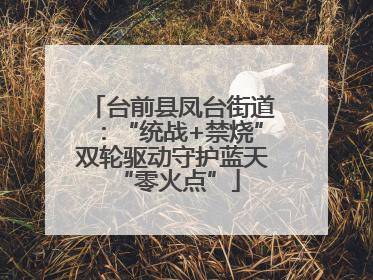 台前县凤台街道：“统战+禁烧”双轮驱动守护蓝天 “零火点”