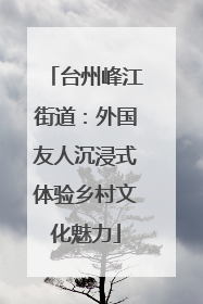 台州峰江街道：外国友人沉浸式体验乡村文化魅力