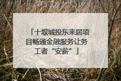 十堰城投东来居项目畅通金融服务让务工者“安薪”