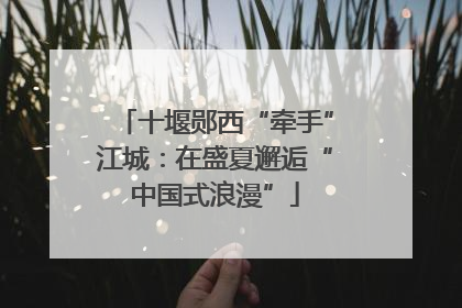 十堰郧西“牵手”江城：在盛夏邂逅“中国式浪漫”