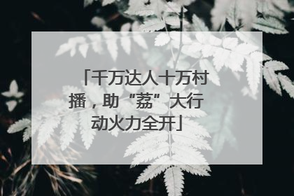 千万达人十万村播，助“荔”大行动火力全开