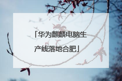 华为麒麟电脑生产线落地合肥