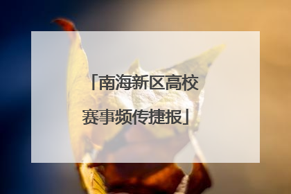 南海新区高校赛事频传捷报