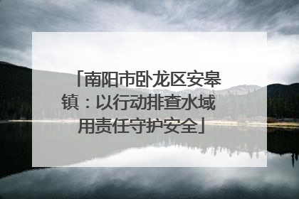 南阳市卧龙区安皋镇：以行动排查水域 用责任守护安全